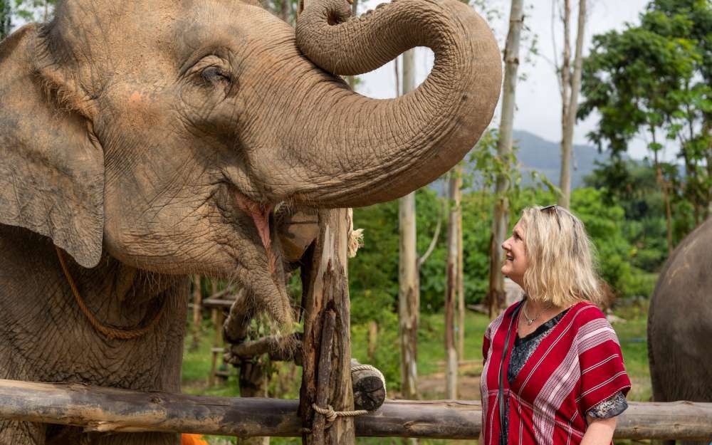 Заповедник слонов Kerchor Elephant Phuket