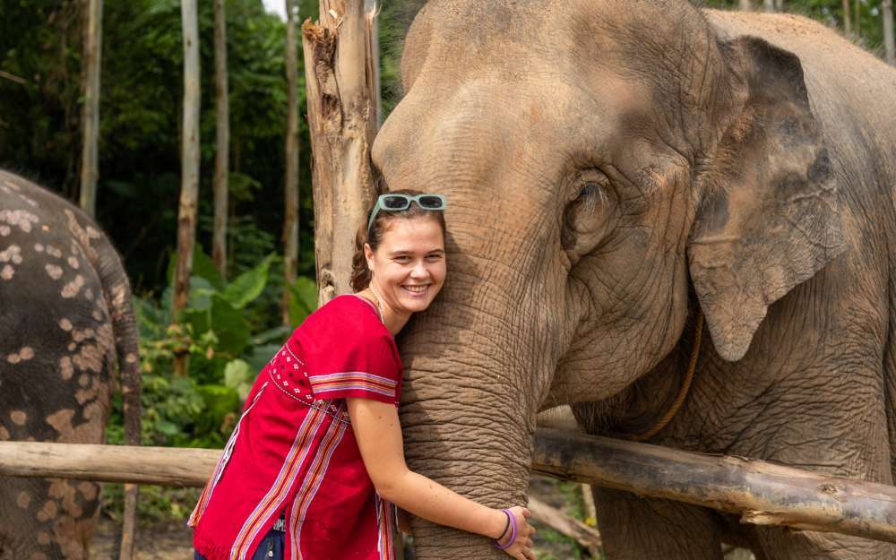 Заповедник слонов Kerchor Elephant Phuket