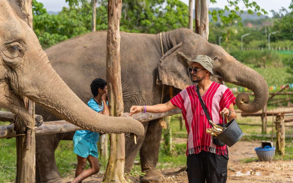 Заповедник слонов Kerchor Elephant Phuket