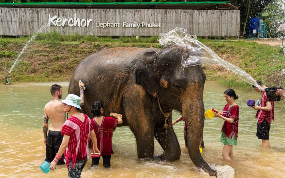 Заповедник слонов Kerchor Elephant Phuket