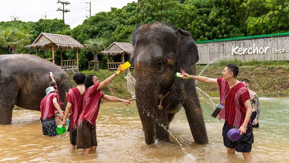 Заповедник слонов Kerchor Elephant Phuket