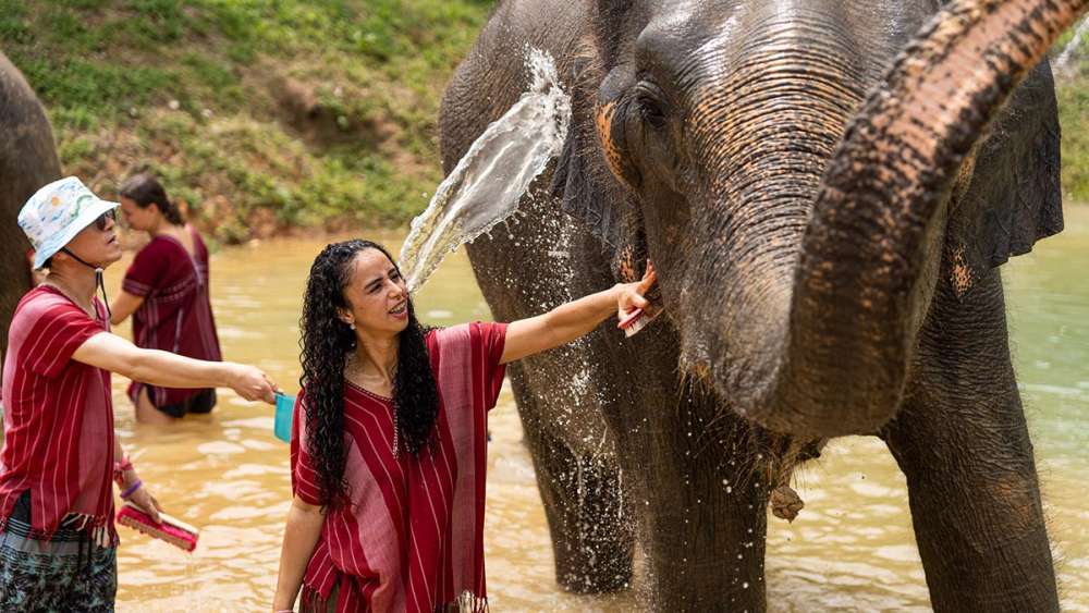 Заповедник слонов Kerchor Elephant Phuket