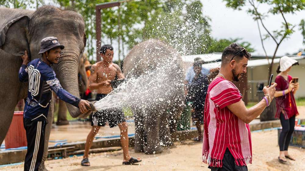 Заповедник слонов Kerchor Elephant Phuket