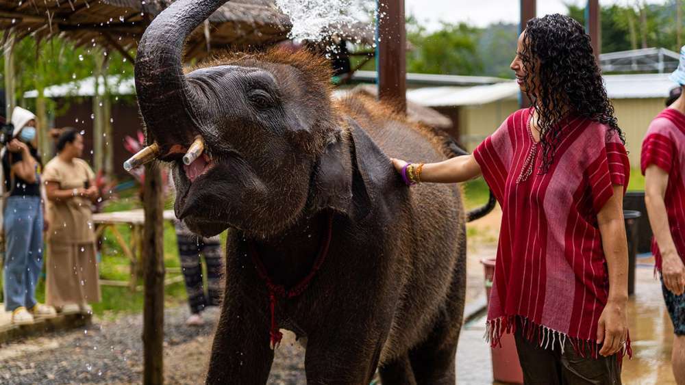 Заповедник слонов Kerchor Elephant Phuket