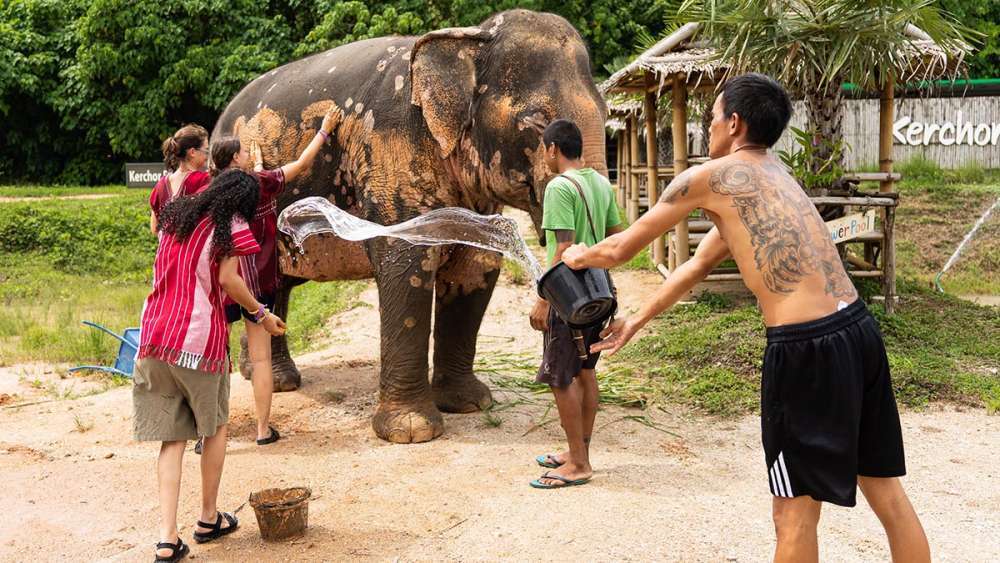 Kerchor Phuket Family - купание со слонами на Пхукете