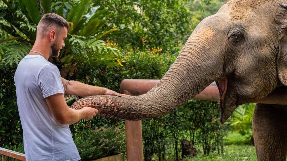 Phuket Elephant Sanctuary