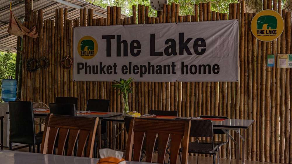 The Lake Elephant Nursery