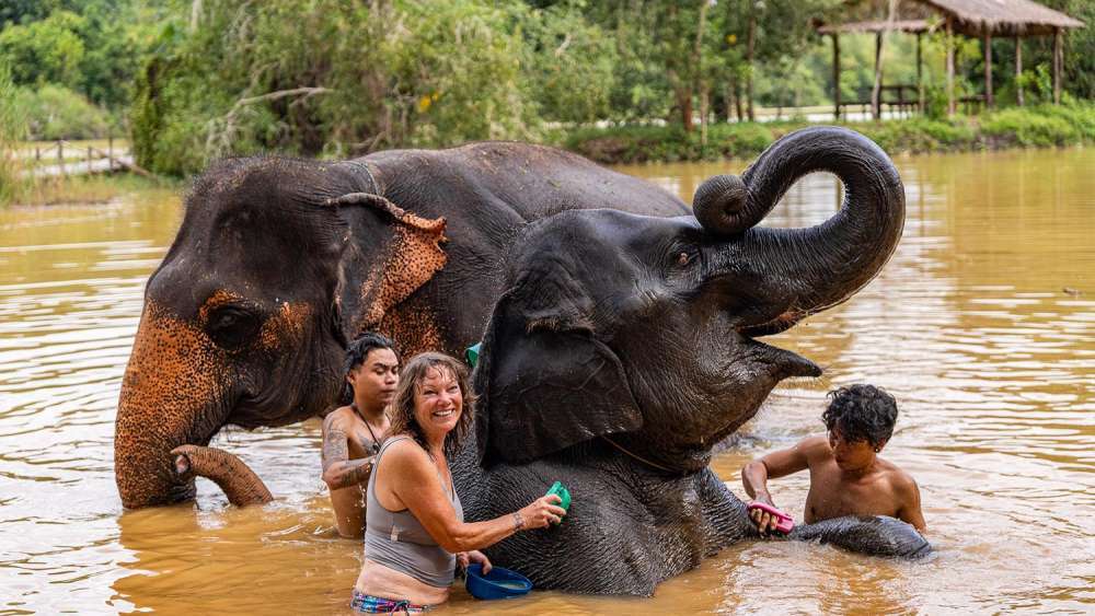 The Lake Elephant Nursery