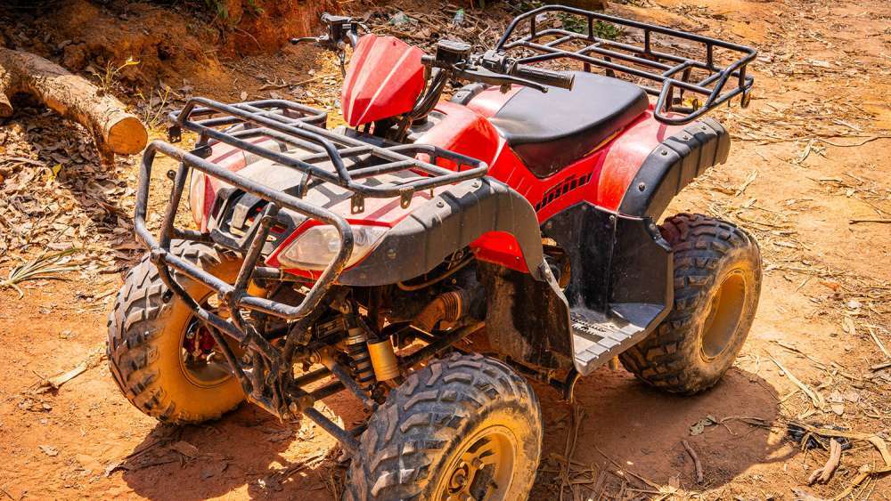 Квадроциклы на Биг Будде