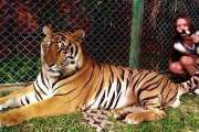 Королевство Тигров