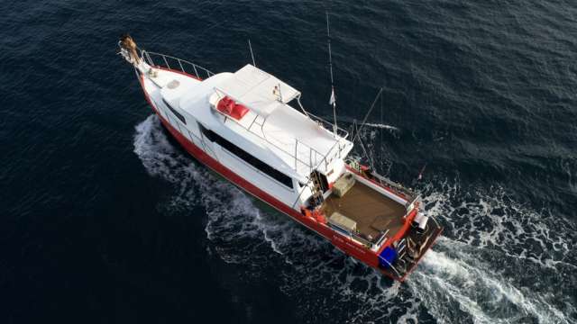 Морская рыбалка на рассвете