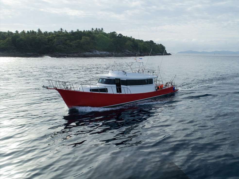 Морская рыбалка на рассвете