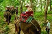 Катание на слонах / Купание со слоном