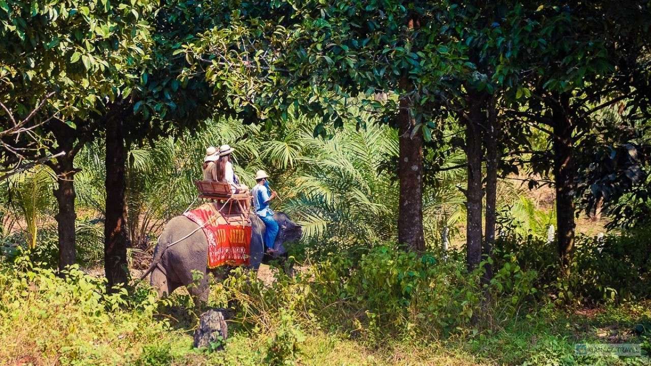 Погонщик слона с туристами едут по тропинке