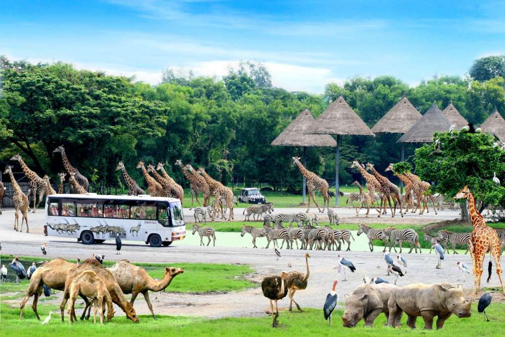 Зоопарк Мир Сафари в Бангкоке