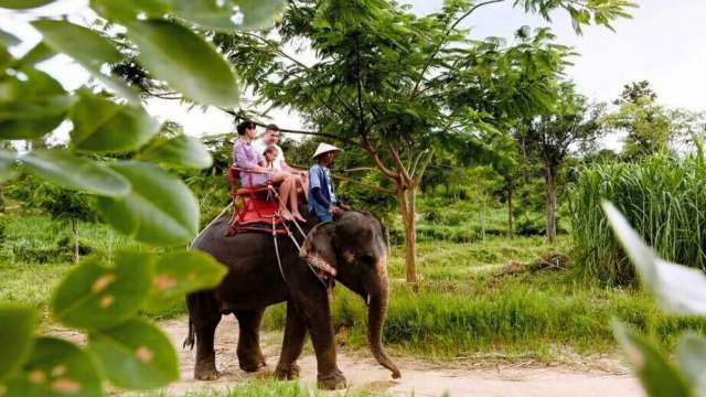 Слоновья деревня и катание на слонах